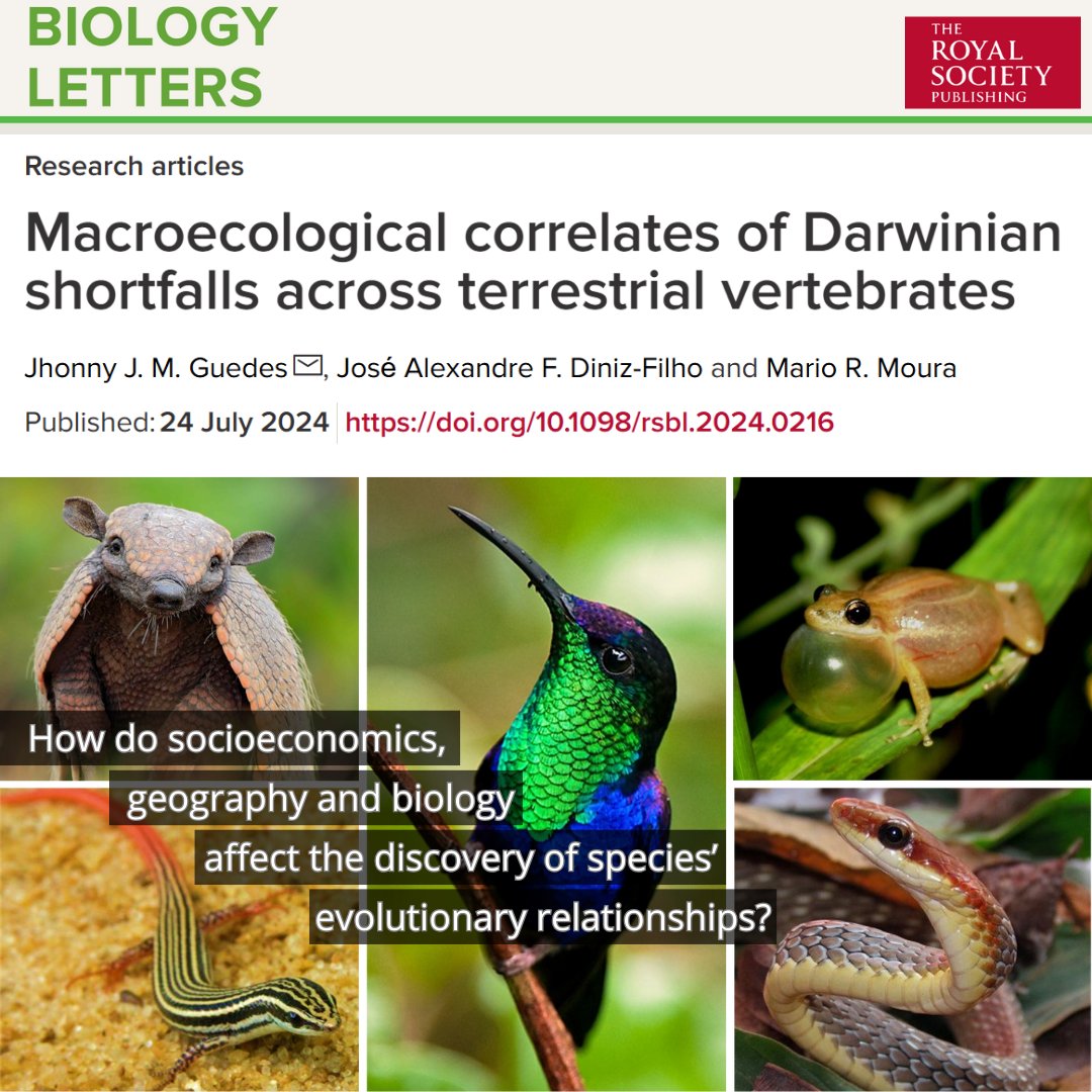 mariormoura (@mariormoura) on Twitter photo Just sharing a few quick insights from a recently published paper in <a href="/BiologyLetters/">BiologyLetters</a> on the drivers behind the accumulation of phylogenetic knowledge across tetrapods 🐸🐍🐦🦥
Follow the thread 🧵(1/7).
<a href="/jose_dinizfilho/">José Alexandre Felizola Diniz-Filho</a> <a href="/UFPBoficial/">UFPB</a> <a href="/unicampoficial/">unicampoficial</a>
mariormoura.wordpress.com/2024/11/20/pap… Just sharing a few quick insights from a recently published paper in <a href="/BiologyLetters/">BiologyLetters</a> on the drivers behind the accumulation of phylogenetic knowledge across tetrapods 🐸🐍🐦🦥
Follow the thread 🧵(1/7).
<a href="/jose_dinizfilho/">José Alexandre Felizola Diniz-Filho</a> <a href="/UFPBoficial/">UFPB</a> <a href="/unicampoficial/">unicampoficial</a>
mariormoura.wordpress.com/2024/11/20/pap…