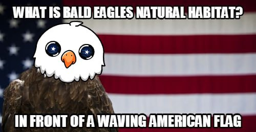 EAGWULL's tweet photo. $EWULL is freedom..

TG:  https://t.co/jNl4rSHU9K

CA:
4F2tVHnY7A6chc8wPwhuNhn8ETF6K8qaeVkf51Ampump

Dex: https://t.co/H5lLGo1WeK

WEB:  https://t.co/lEh48AP1hI https://t.co/MXjFLrc40n