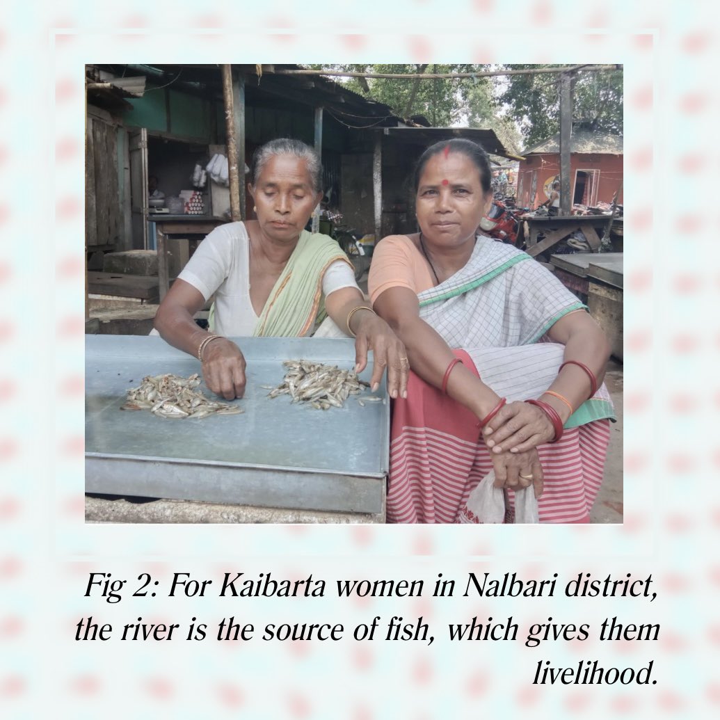 thirdshelfjournal tweet media