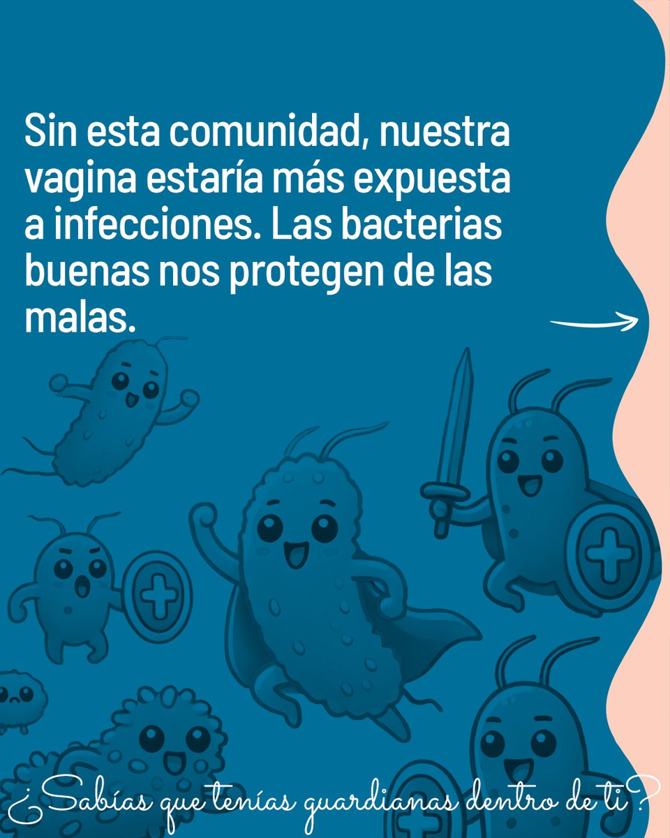 Proyecto Laura tweet media