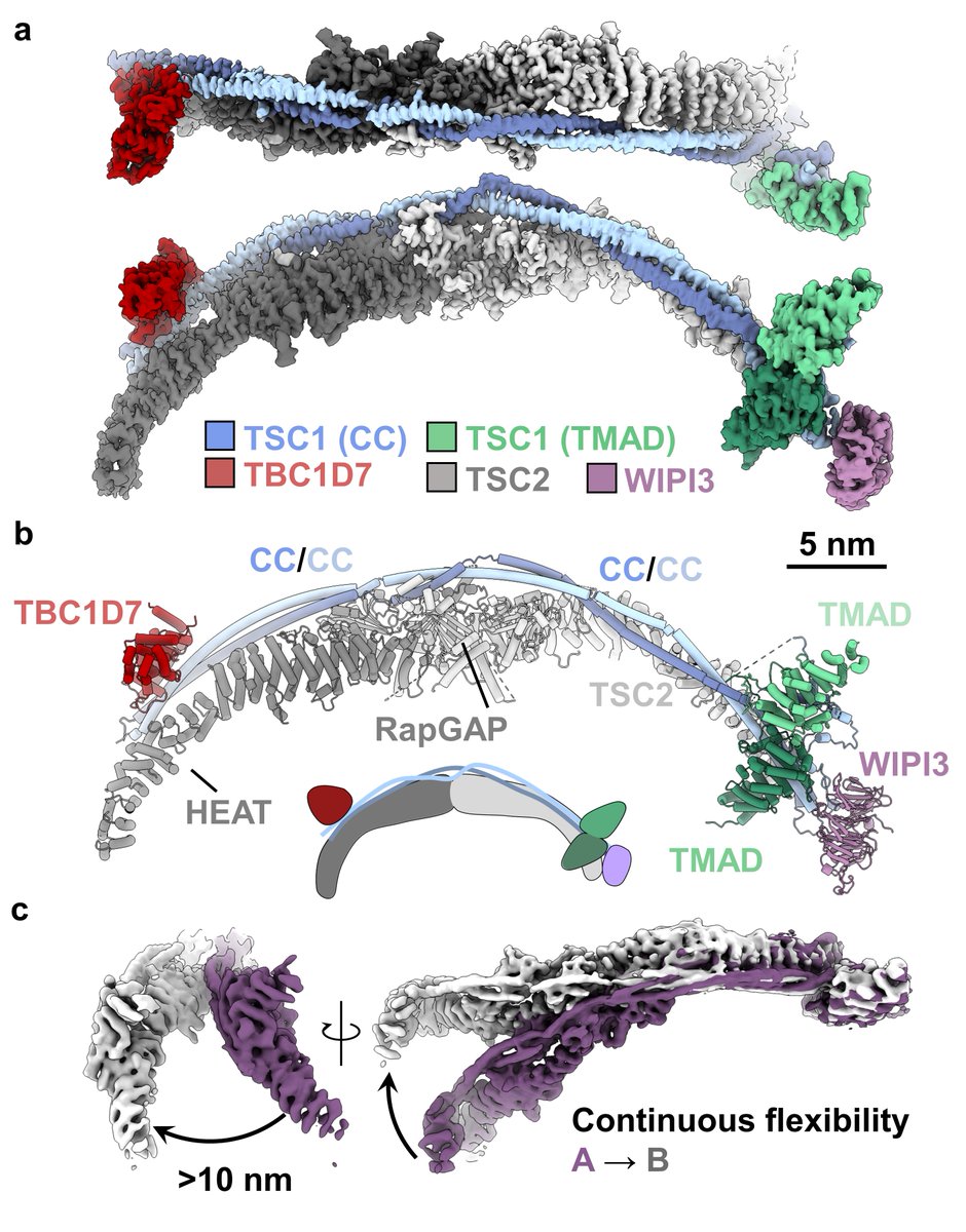 Charles Bayly-Jones tweet media