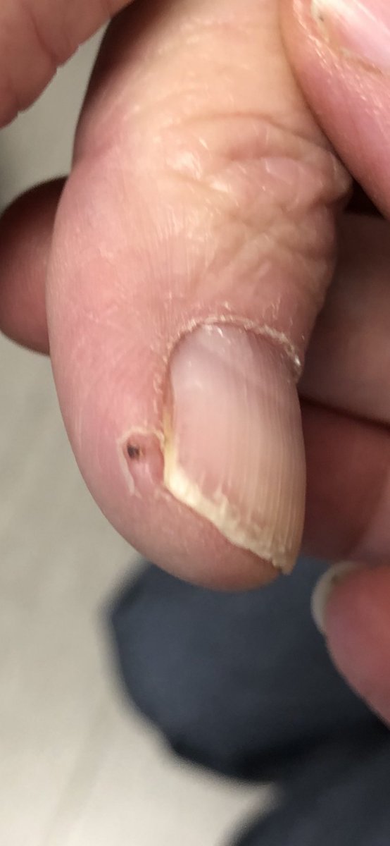 Janet Pope tweet media