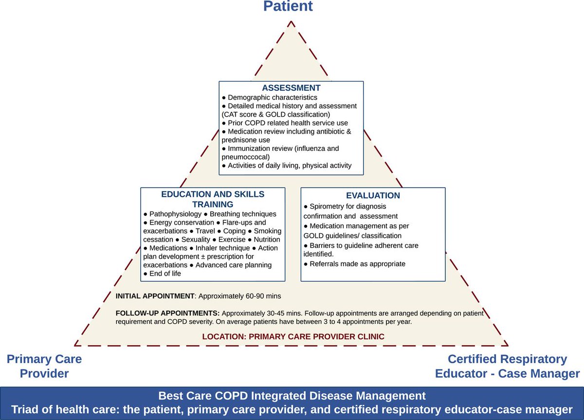 ThoraxBMJ's tweet image. To mark #WorldCOPDDay, read this great study on the benefits of primary care-based integrated disease management for COPD @CLicskai 
thorax.bmj.com/content/79/8/7…
