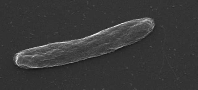 Sam Miller, Ph.D. tweet media