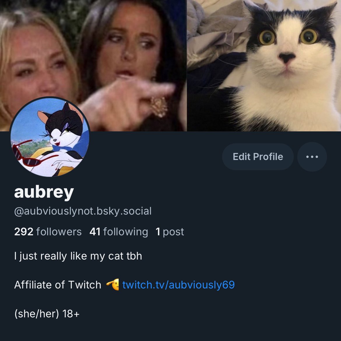 aubviouslynot's tweet image. alright so I am officially going to start making my move over there bsky.app/profile/aubvio… 

twitter just gets more and more hateful with each day that passes. it was fun while it lasted! :3