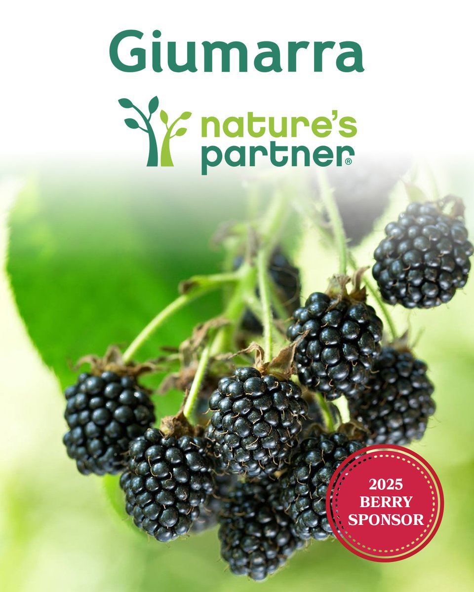We want to thank Giumarra Companies for supporting our 2025 Conference as a Berry sponsor! Giumarra is a leading marketer in the fresh produce industry, supplying customers with high-quality fruits &amp; vegetables year-round.

giumarra.com

#NARBA #Blackberries #berries