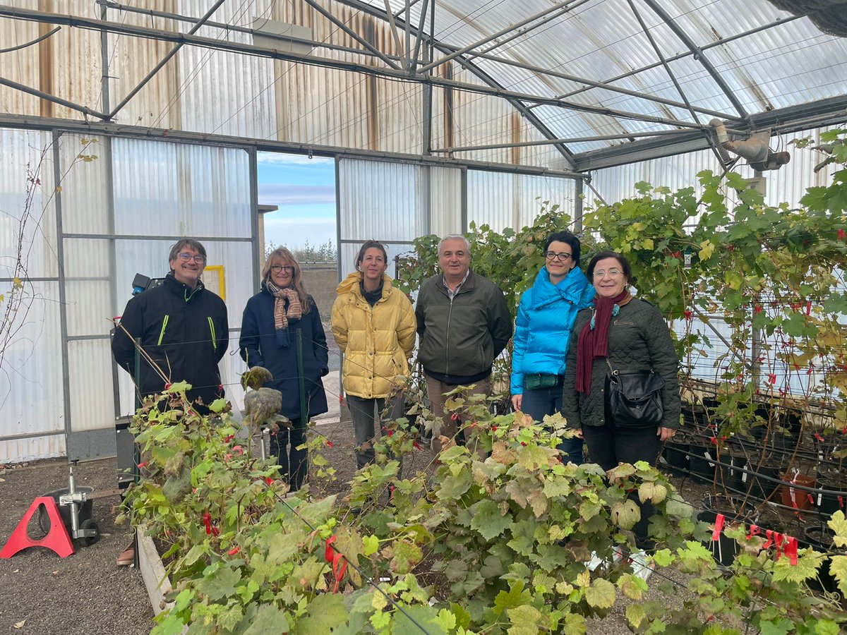 Today, I visited the grapevine 🍇 collection in #Vassals, the biggest grapevine collection in the World 🌍, with more than 8000 accessions. What a wonderful place! Thanks to the French colleagues for this opportunity!