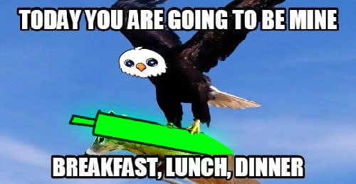 EAGWULL's tweet photo. Dex updated!!  
$EWULL  🦅🚀 #1000x #solana #EWULL

TG:  https://t.co/jNl4rSHU9K

CA: 4F2tVHnY7A6chc8wPwhuNhn8ETF6K8qaeVkf51Ampump

WEB:  https://t.co/lEh48AP1hI

Dex: https://t.co/H5lLGo1WeK https://t.co/dNnSrFcQTp