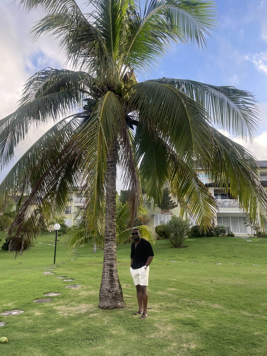 Check_ZebOut's tweet photo. Deh yuh 🇯🇲🤜🏿 #yard #ochorios #Jamaica https://t.co/4pIYeSIvQl