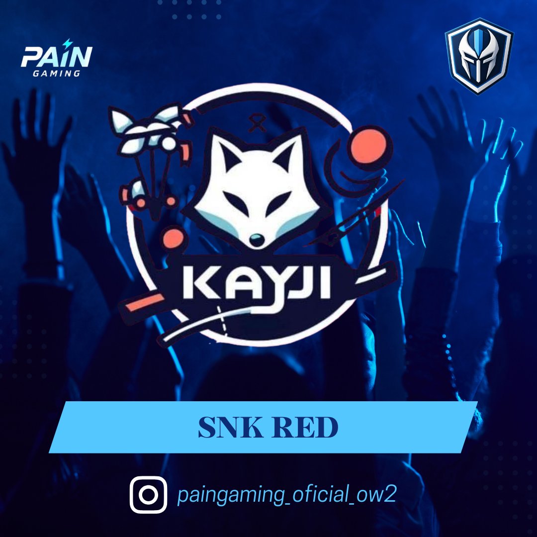 PainGaming_OW2 tweet media