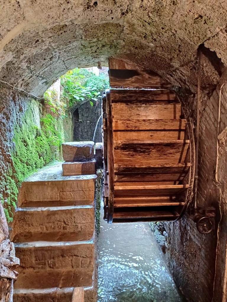 Ton Lloret Ortínez tweet media