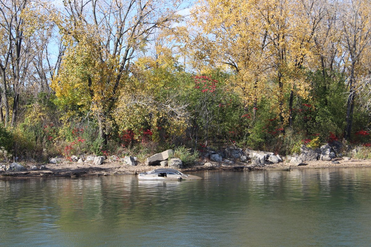 Chicago Department of Environment tweet media