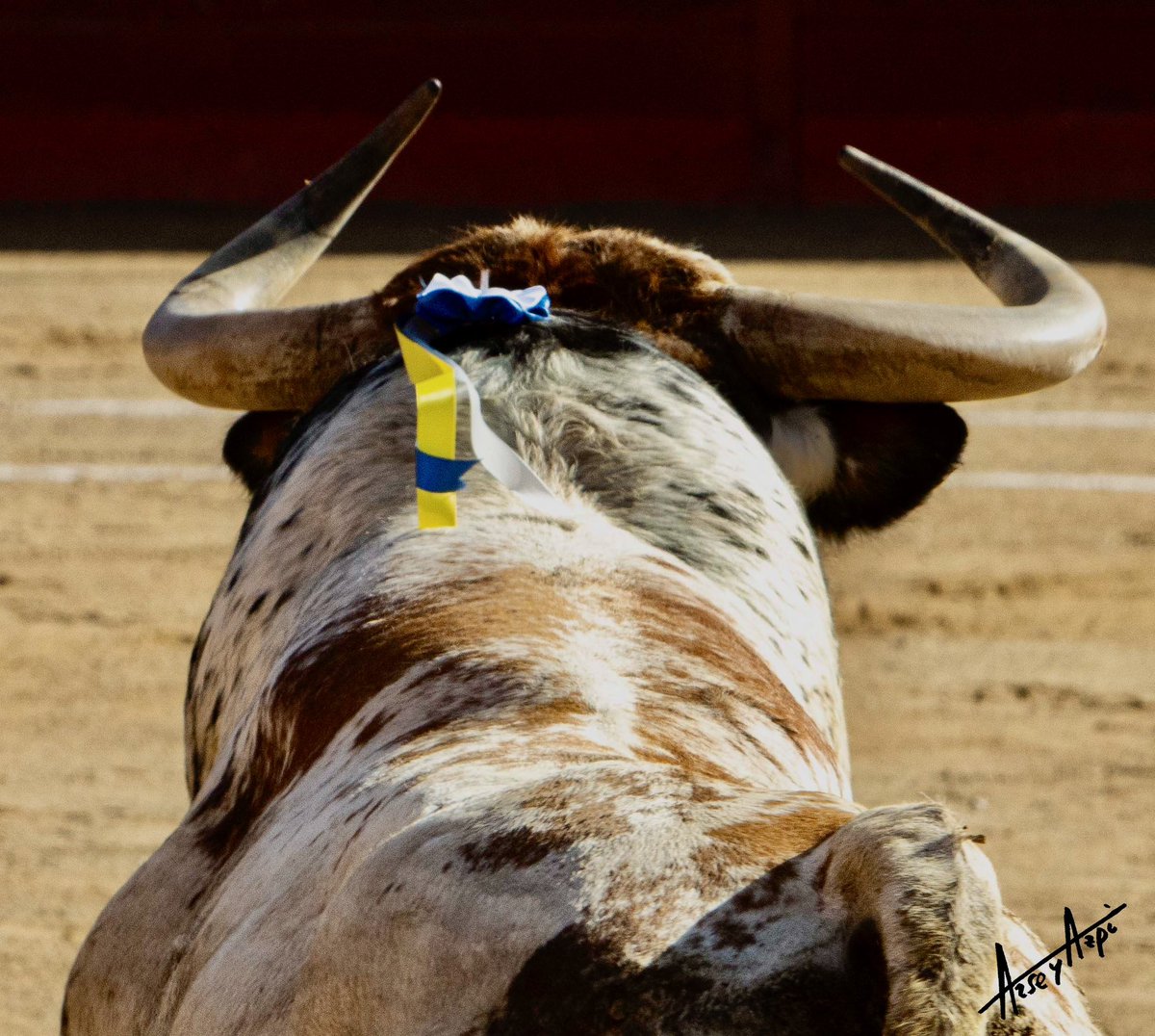 PorlasRutasdelToro tweet media