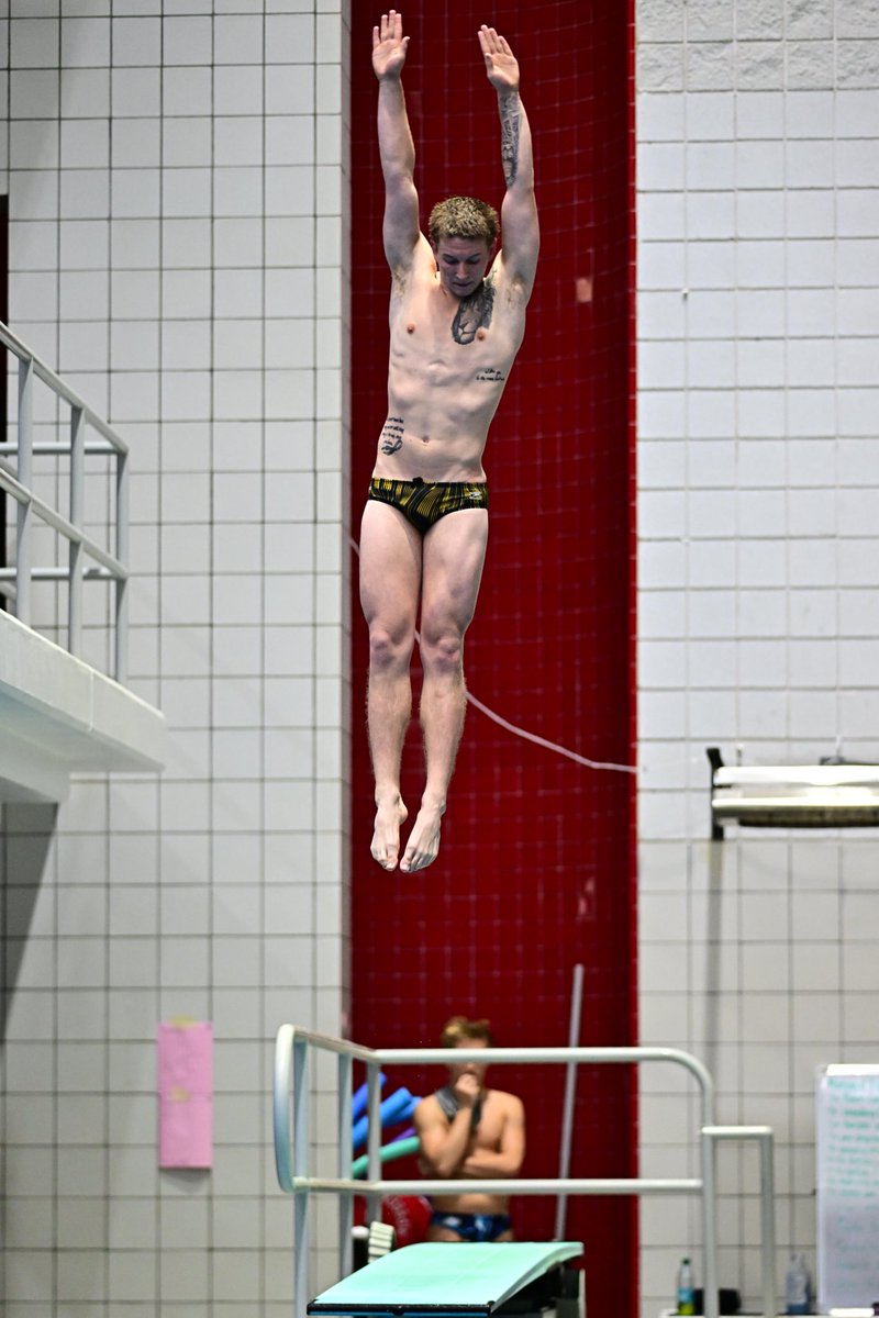 LSUSwimDive's tweet photo. Men’s 1-Meter Diving and Women’s 3-Meter Diving | Zayne Danielewicz (338.50) and Helle Tuxen (322.70) both win their respective B-Finals! 🐯 https://t.co/MQSKcfHJMM