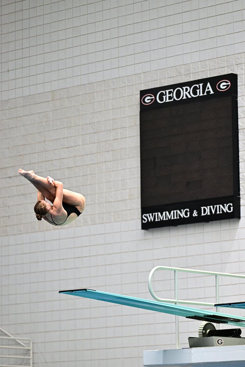 LSUSwimDive's tweet photo. Men’s 1-Meter Diving and Women’s 3-Meter Diving | Zayne Danielewicz (338.50) and Helle Tuxen (322.70) both win their respective B-Finals! 🐯 https://t.co/MQSKcfHJMM