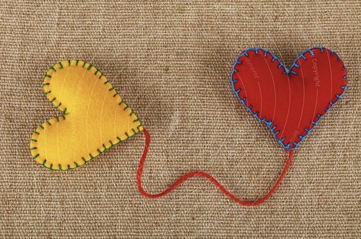 🧀 NYcheesy tweet media