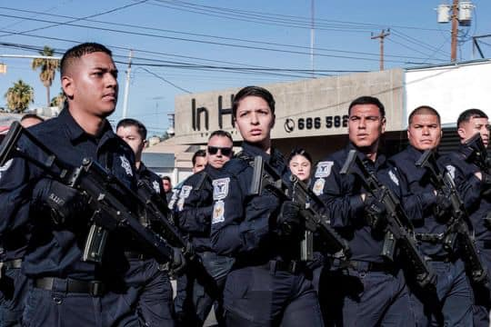 Secretaría de Seguridad Ciudadana Baja California tweet media