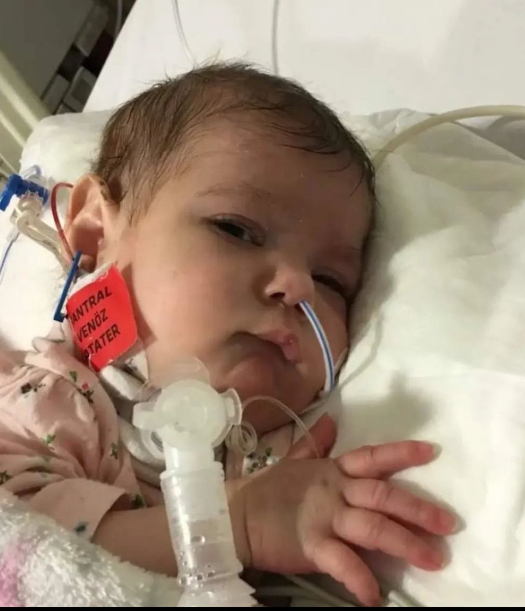 Bu dava dolandırıcılık değil. 
Bebekleri bile isteye öldürdüler. 
Bunu yapanlar siz kimsiniz?
Milletimin en talihsiz gecesi ana rahmine düştüğünüz gecedir. 
Allah nefeslerini kessin
Adalet yere çarpsın. 
#mayabebekcanımçocuğum