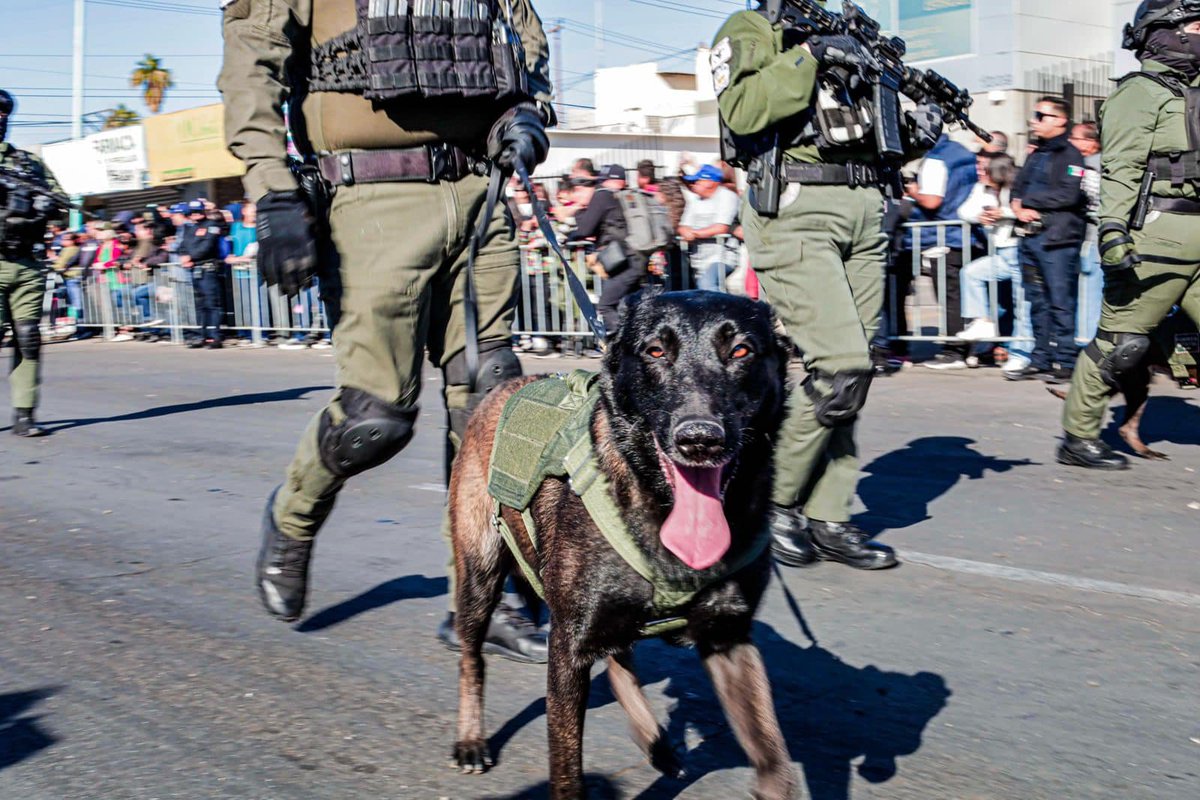 Secretaría de Seguridad Ciudadana Baja California tweet media