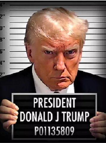 Raise your hand if you think that Trump who's a convicted felon should be headed to prison and not the White House on 1/20/2025! 🙋‍♀️🙋🙋‍♂️