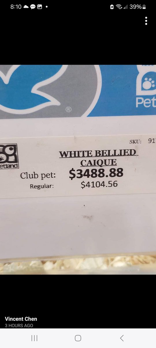 carlawpg's tweet photo. #Petland #winnipeg Have you not learned anything from the 90s!!! I thought us animal activists taught you how to stay in business by not selling backyard breeder dogs and now this BS! #petlandcanada https://t.co/O6GX3rjvX3
