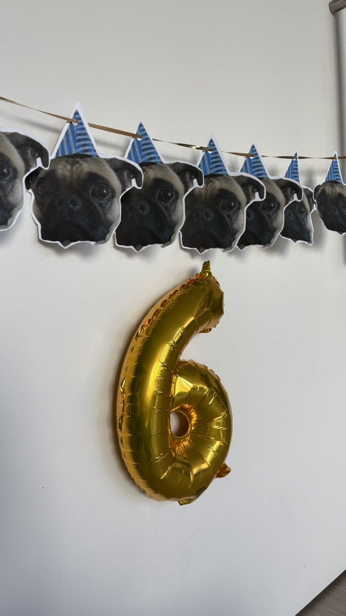 rosealioth's tweet photo. riolu’s sixth birthday 🫶🏼 https://t.co/OjMBBYx61a