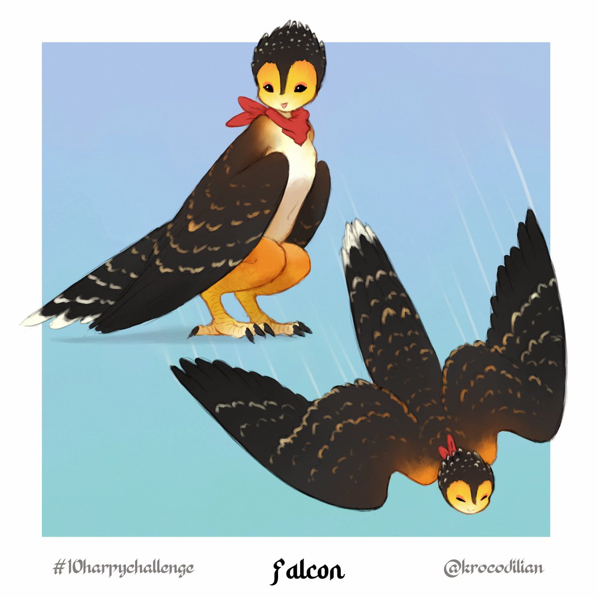 Falcon Harpy 🦅 #10harpychallenge