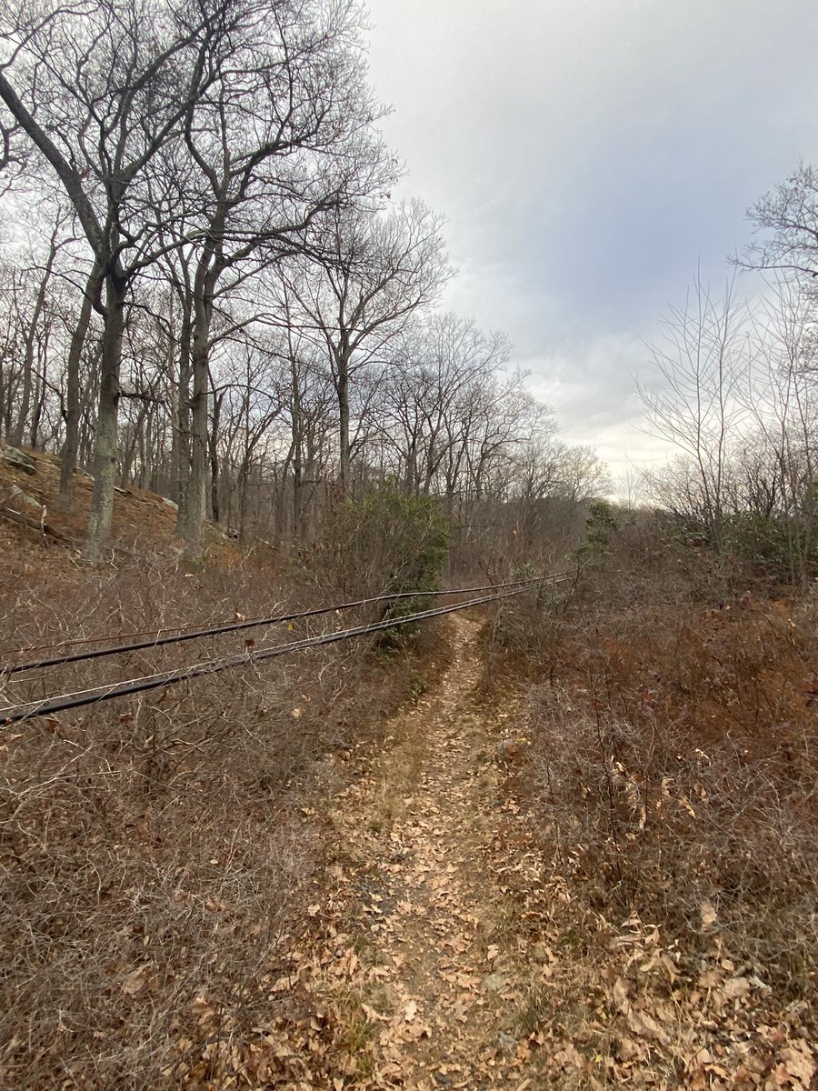 Hi <a href="/NYstateparks/">NY State Parks</a> I came across some downed wires this afternoon in Harriman State Park. With the extremely dry conditions especially I wanted to flag. Can DM or email more info if you provide best way to contact. Thank you!