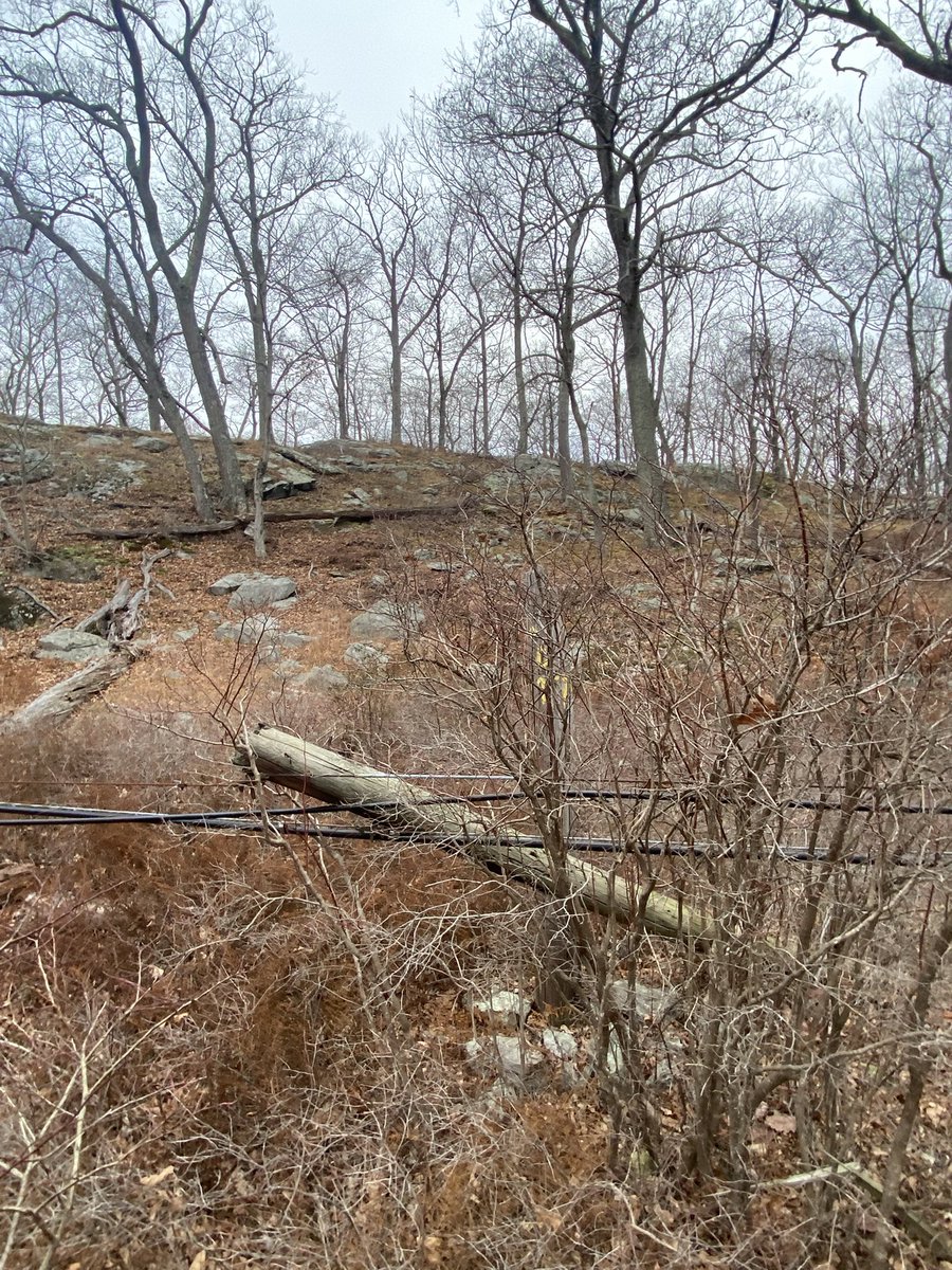 DaveColePhoto's tweet photo. Hi @NYstateparks I came across some downed wires this afternoon in Harriman State Park. With the extremely dry conditions especially I wanted to flag. Can DM or email more info if you provide best way to contact. Thank you! https://t.co/BjDd3itVhq