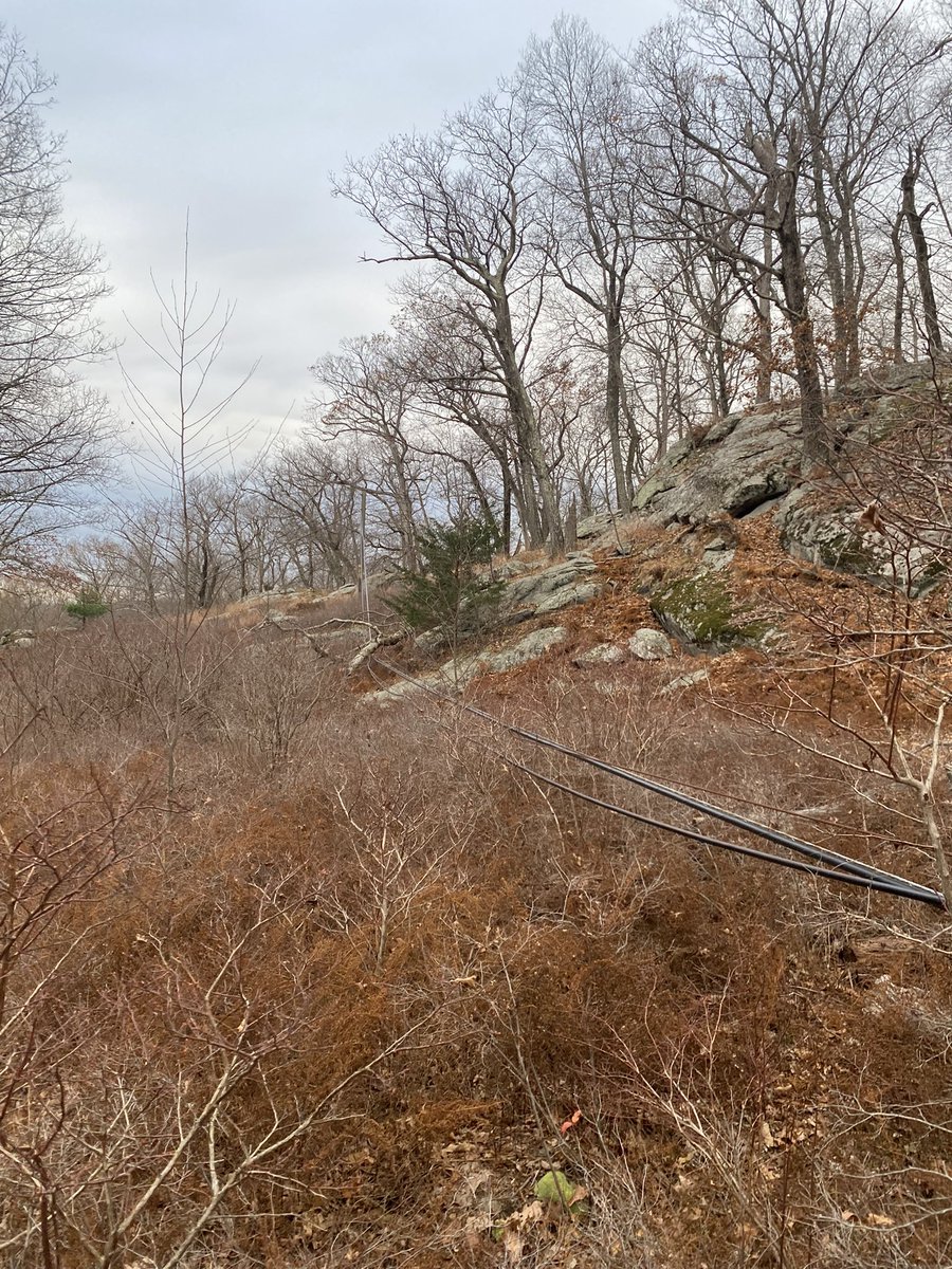 DaveColePhoto's tweet photo. Hi @NYstateparks I came across some downed wires this afternoon in Harriman State Park. With the extremely dry conditions especially I wanted to flag. Can DM or email more info if you provide best way to contact. Thank you! https://t.co/BjDd3itVhq