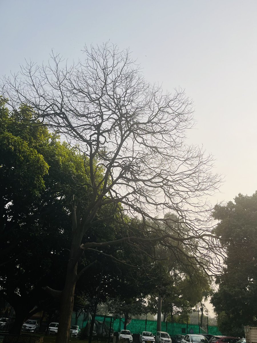 JaunSee's tweet photo. हालत-ए-हाल के सबब हालत-ए-हाल ही गई 
शौक़ में कुछ नहीं गया शौक़ की ज़िंदगी गई!!

#जौन_एलिया https://t.co/eIGQFxbn68
