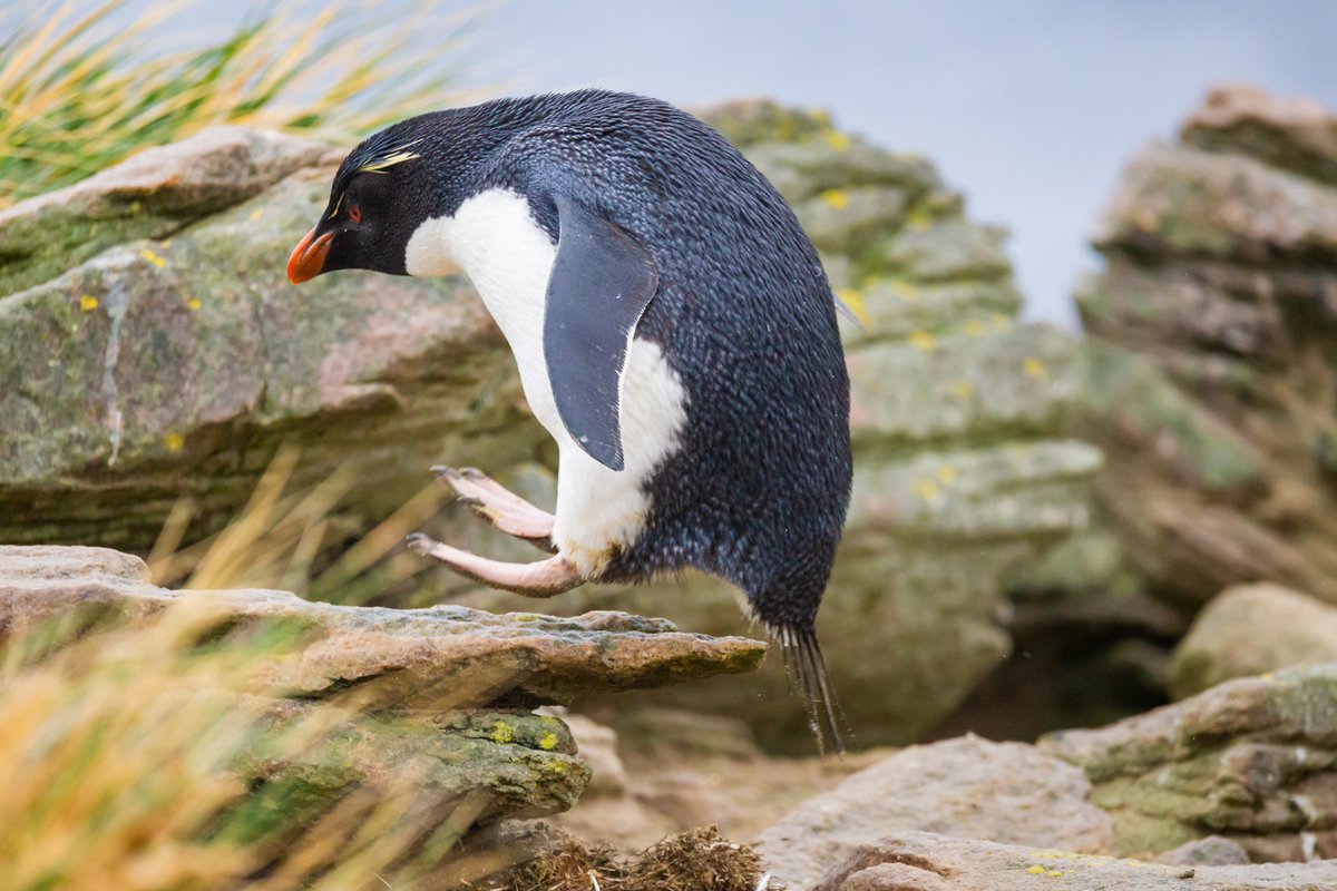 Hapag-Lloyd Cruises tweet media