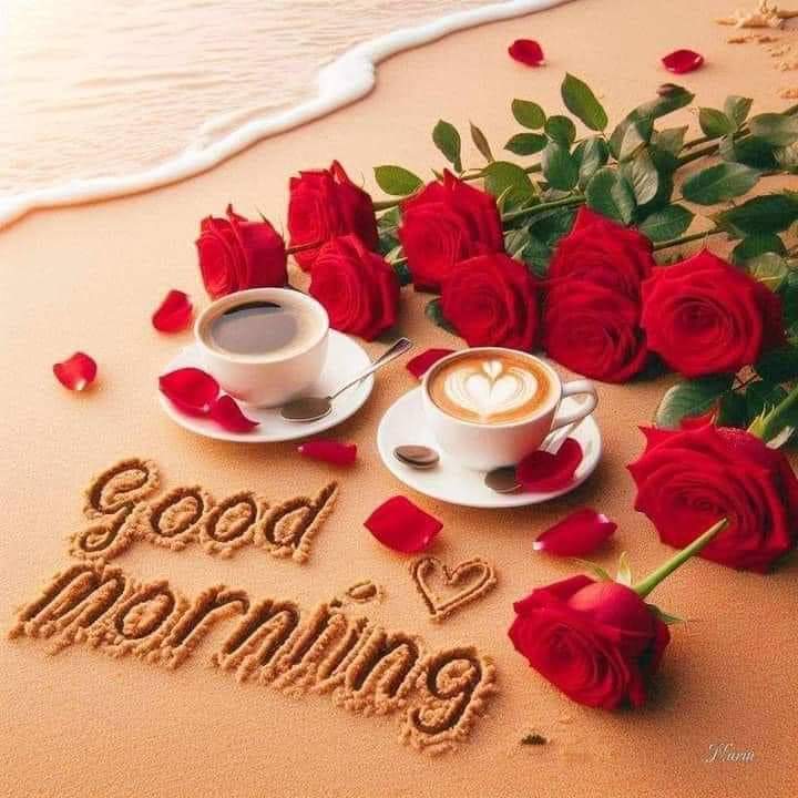 Happy Thursday 💕

The one who knows 
How to Adjust 
            Is 
The one who knows 
How to Survive …😌

🌸GooD MorninG 🌸