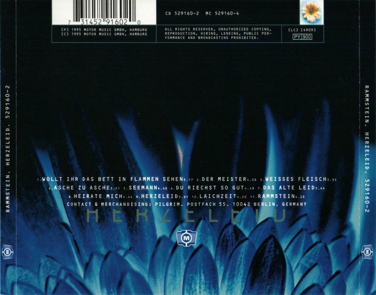 Sycho Schneider (@hadriankollider) on Twitter photo 