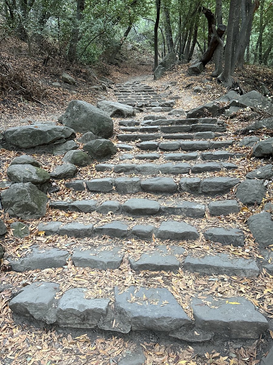 T.C. Boyle tweet media