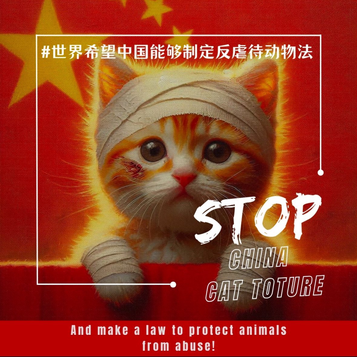 fraise_5's tweet photo. @FGuardiansJapan Thank you so much！🇰🇷 CARE KOREA 💫🙏´-

🇨🇳🐈‍⬛🐕🆘

#stopanimalcruelty
#stopchinadogtorture
#stopchinacattorture
#stopanimalabuse 
#animallivesmatter 
#animalsarenotthings 
#cat #dog #animal 
#china #chinafact https://t.co/T4sbpMPYvf