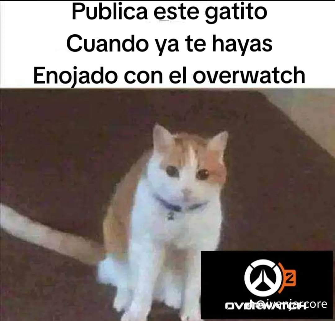 Proyecto02x6's tweet photo. Algo de lo que todos pueden hablar https://t.co/wgQ5sGLhkp
