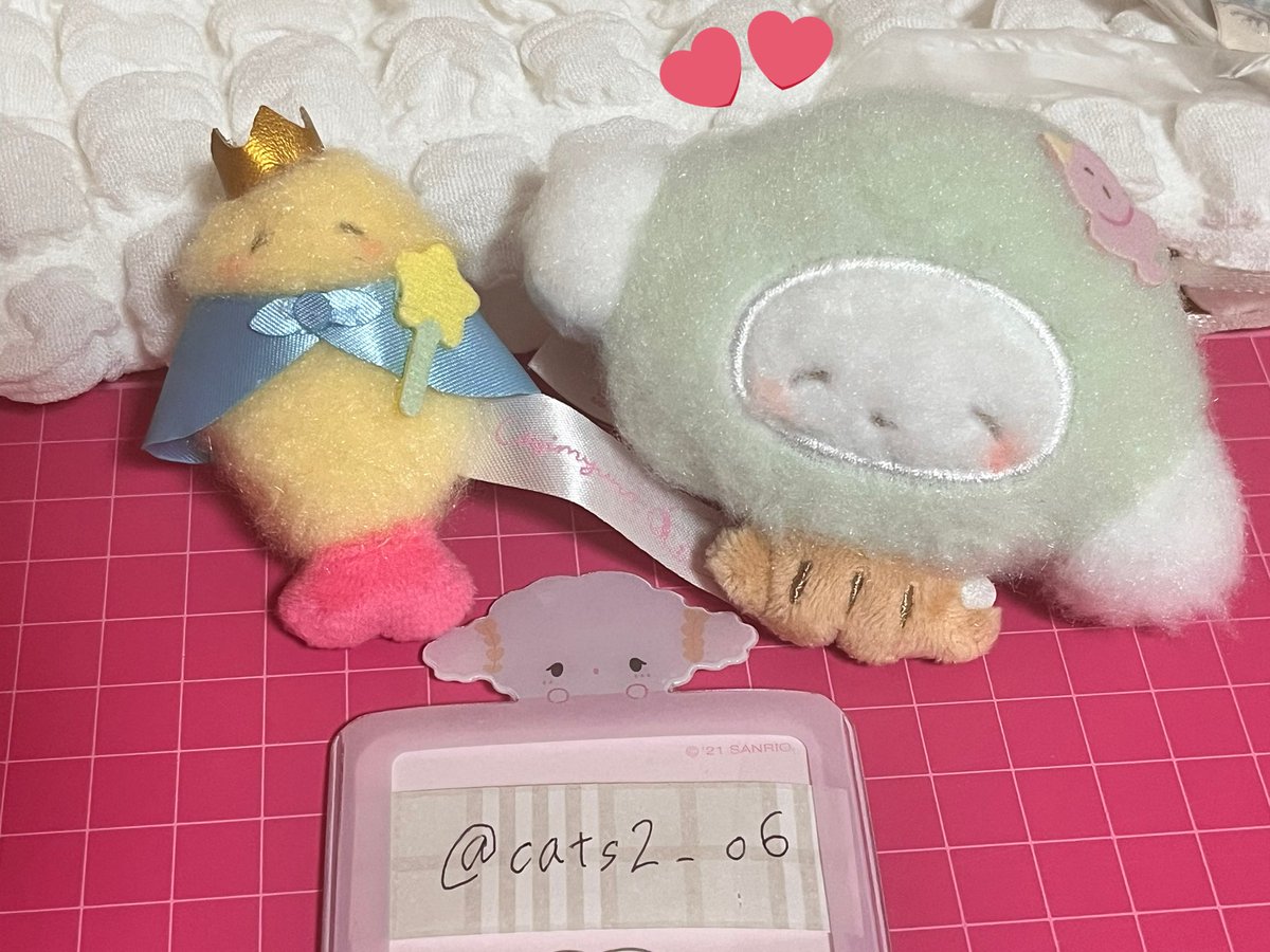 cats2_o6's tweet photo. @micchantorihiki https://t.co/5ywDtIbQVf