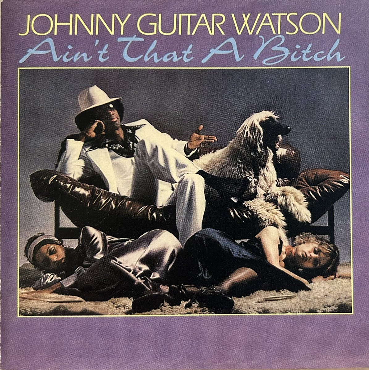 KingGuitarClass's tweet image. 今日（昨日）の1曲！
Johnny Guitar Watson,
I Want To Ta-Ta You Baby
youtube.com/watch?v=_c-xji….
#funkymusic 
#polysterrecords 
#johnnyguitarwatson