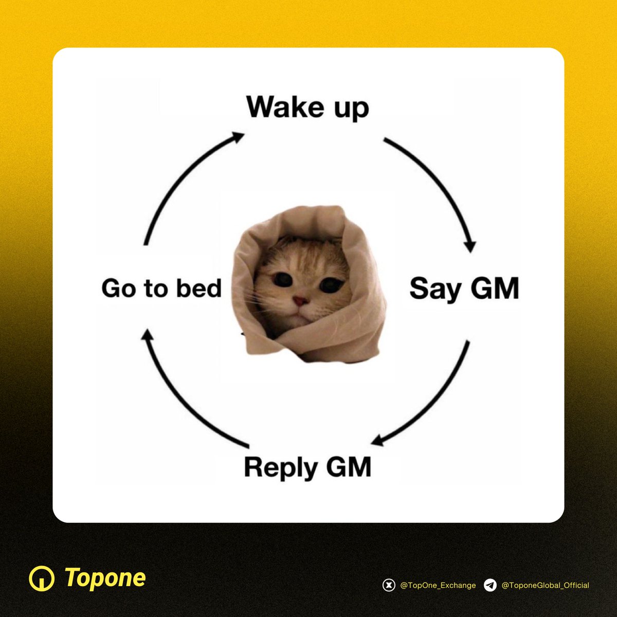 Topone_Exchange's tweet photo. #GM π₯ It's the cycle when I trade #crypto futures at https://t.co/papQWlMga7.
$BTC $QUANT #CHILLGUY $WAIT $HUZZ $WINTER $RIF $FINE #ZEREBRO #FARTCOIN $ROSE #COINFESS $BERT $VVAIFU $GOON $LUCE $BAN #CHILLGIRL $BARSIK $FLOOF #BESSENT $URO $GRIDDY $PNUT $DIDDY $LESTER $JEFFY https://t.co/wT3GVdWA7Q