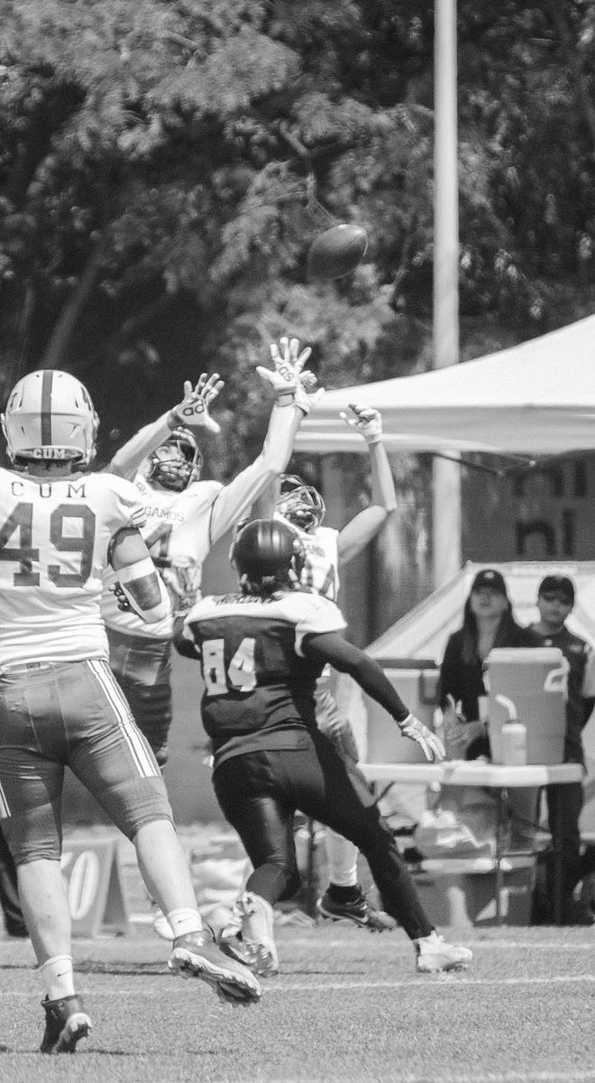 AHHHHHH SEMANA DE PLAYOFFS‼️‼️‼️🗣️🗣️🗣️