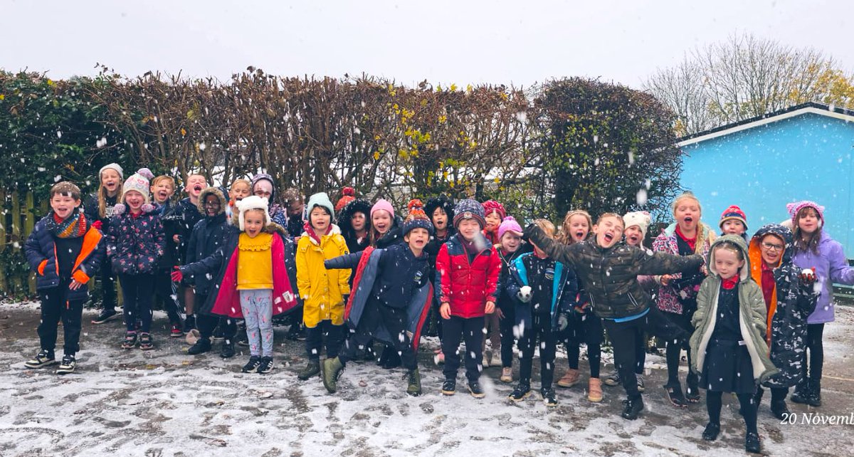 Hendrefoilan's tweet photo. Turtles had a wonderful time in the snow 🌨️❄️☃️ #hdfpturtles https://t.co/IinbFqmEZi