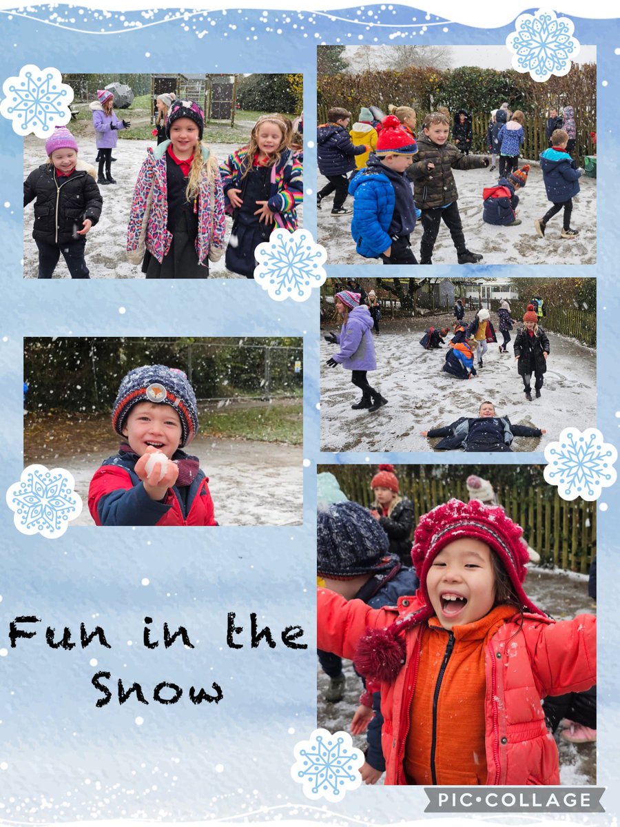 Hendrefoilan's tweet photo. Turtles had a wonderful time in the snow 🌨️❄️☃️ #hdfpturtles https://t.co/IinbFqmEZi
