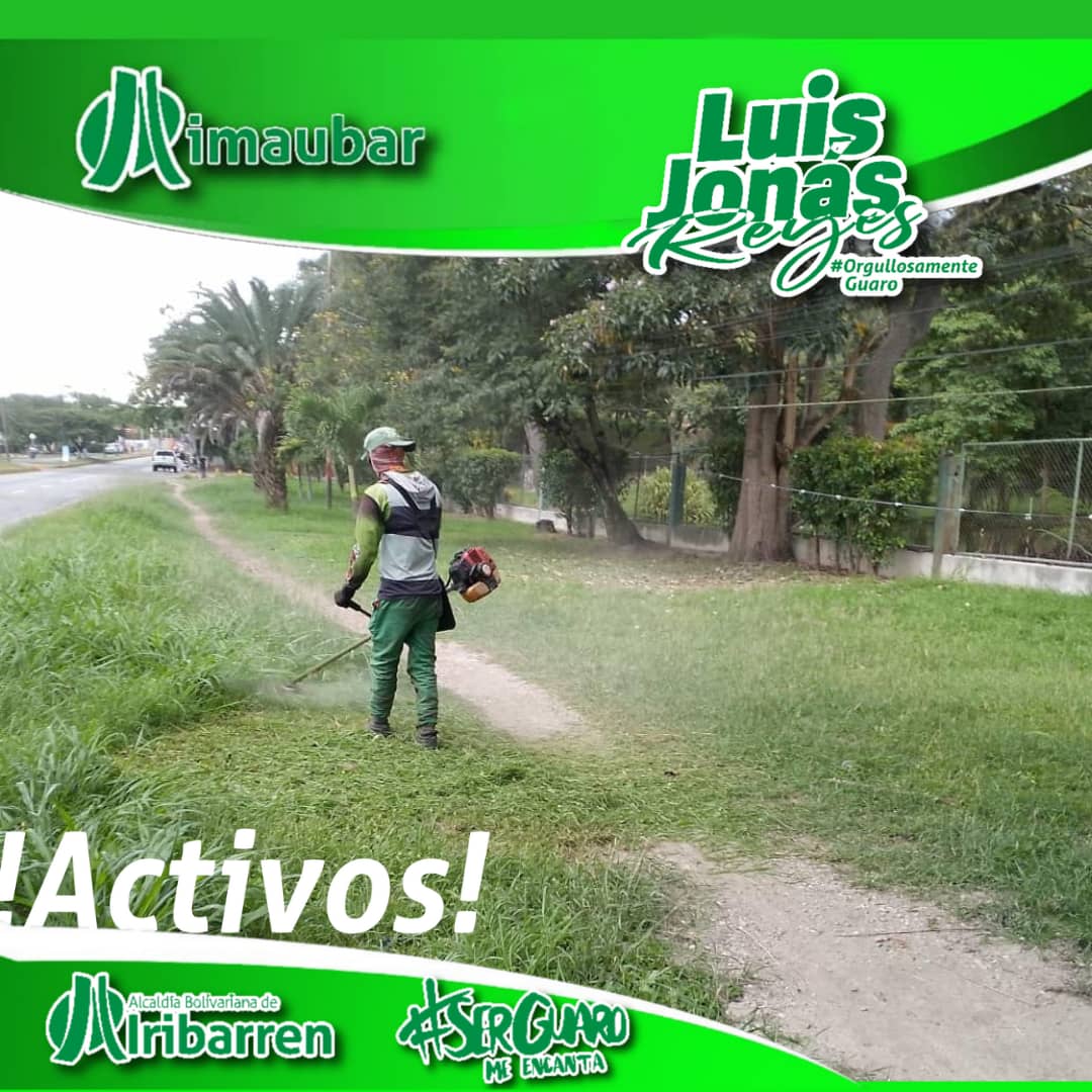 Imaubar (@imaubar) on Twitter photo #20Nov 💚🍃🧹 @imaubar PLAN CERO MALEZA
Estamos activos en la Avenida Herman Garmendia, parroquia Santa Rosa, al Este de la ciudad.
Juntos con el alcalde <a href="/LuisJonasReyes/">Luis Jonás Reyes</a> y los *#GuerrerosDeLaLimpieza*
*#OrgullososDeSerGuaros* 💚 #20Nov 💚🍃🧹 @imaubar PLAN CERO MALEZA
Estamos activos en la Avenida Herman Garmendia, parroquia Santa Rosa, al Este de la ciudad.
Juntos con el alcalde <a href="/LuisJonasReyes/">Luis Jonás Reyes</a> y los *#GuerrerosDeLaLimpieza*
*#OrgullososDeSerGuaros* 💚