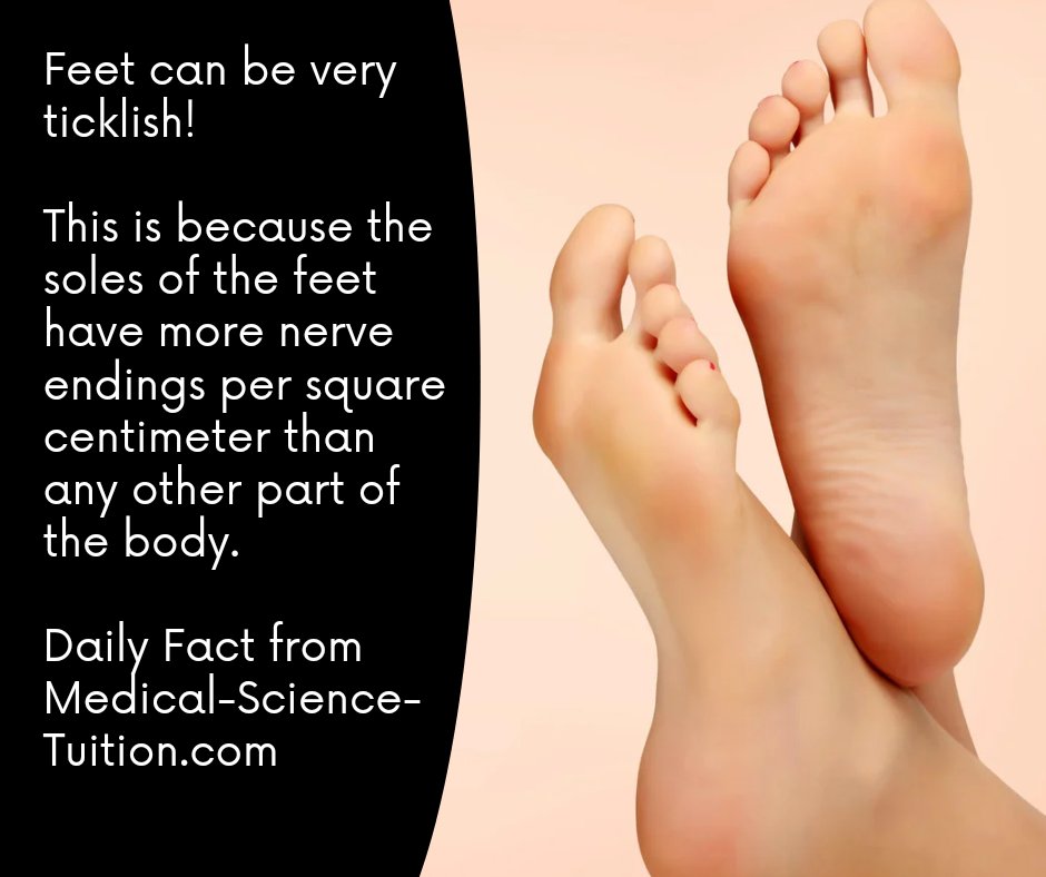 MedSciTuition's tweet photo. Daily Fact from https://t.co/Cp41zVKIRw 
GCSE and A-level Science one to one and group tuition provided by expert, experienced, qualified teachers. Contact us for more details or to sign up. 
Email: admin@medical-science-tuition.com 
Or
What's app:  07743 245859. 

#science https://t.co/0FeKE5OUNA
