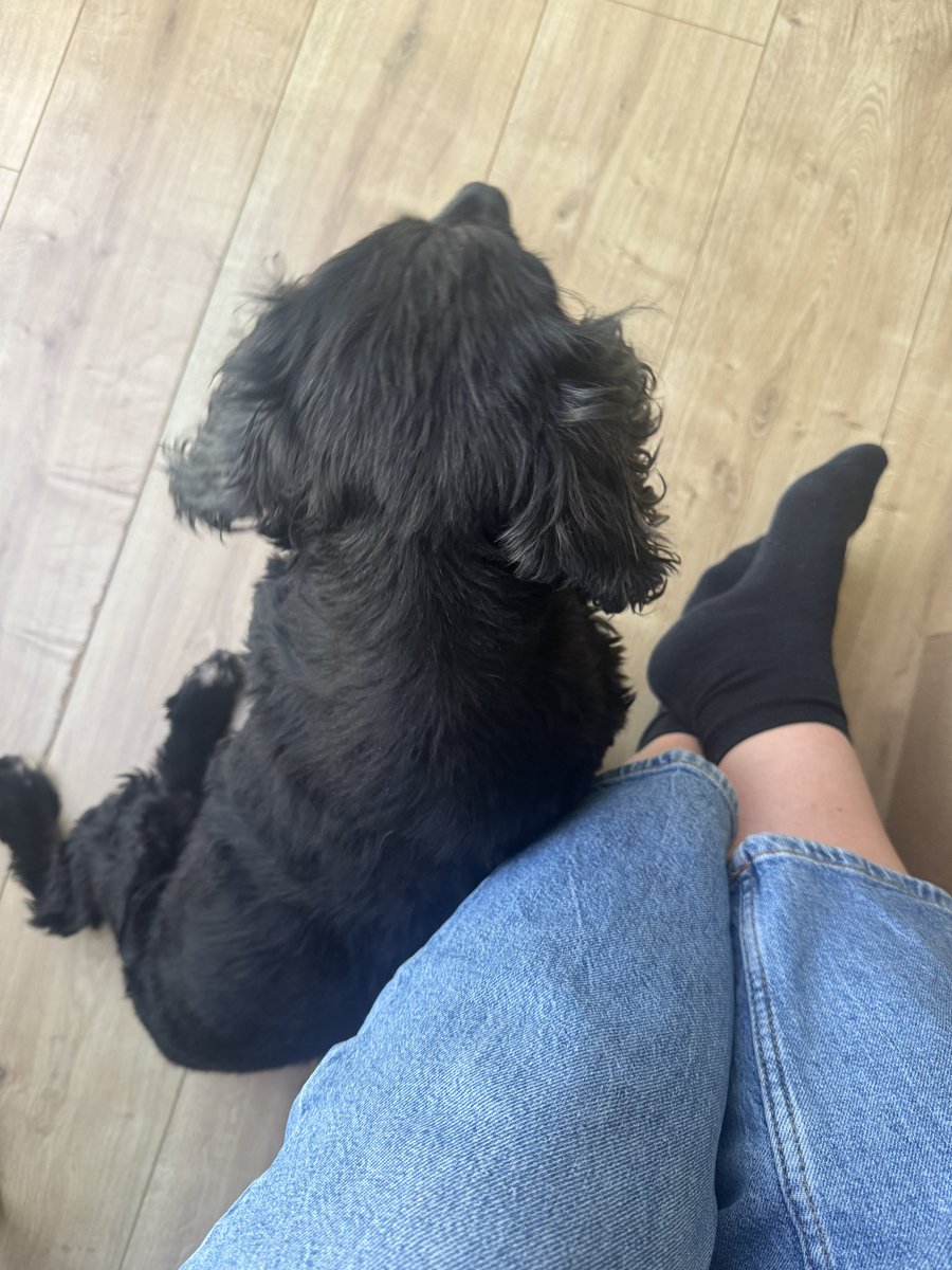 My favourite work buddy 🖤 #dogsofX