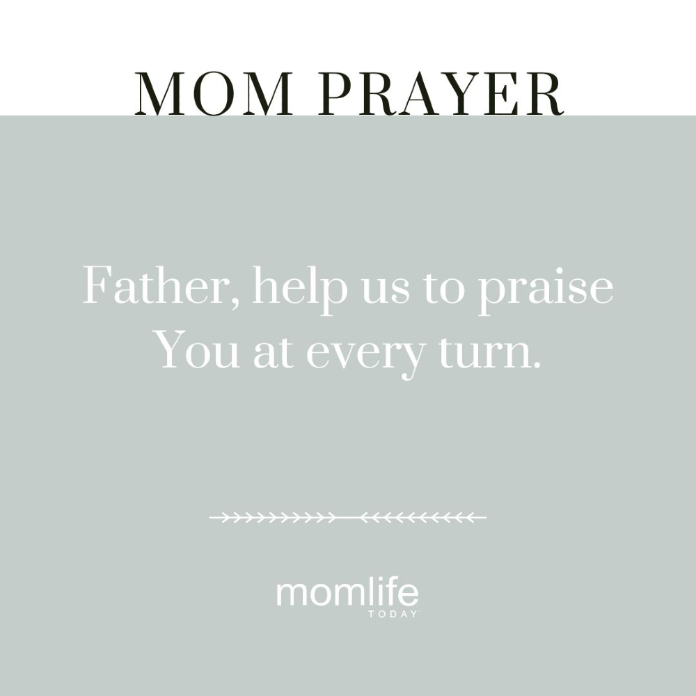 MomLife Today tweet media