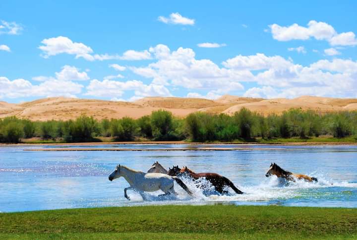 Сайхан өглөөний мэндээ хө.