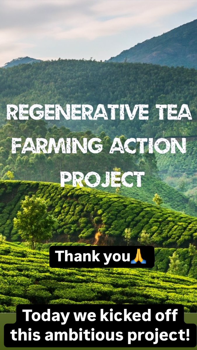 Tea Rebellion tweet media