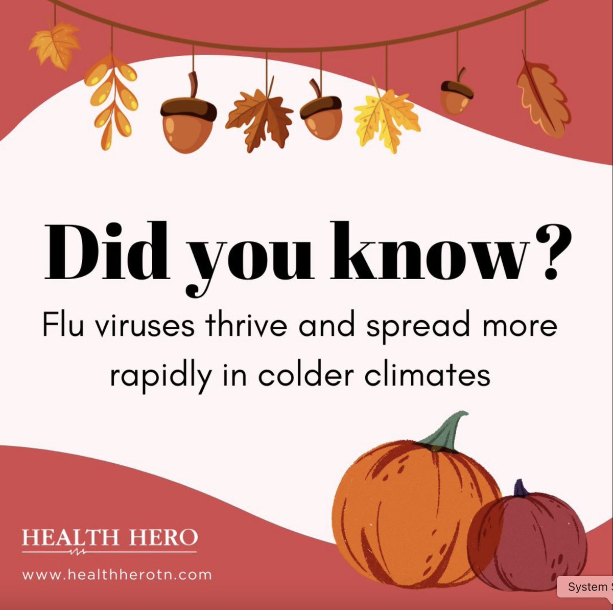 healthherotn's tweet photo. Did you know the flu spreads more easily during the colder months? Get a head start this season—get your flu shot today at one of our Health Hero clinics!

🔗 https://t.co/dZMnhQgT1n

#FluFreeTN #HealthHeroTN #HealthHero #BeAHealthHero https://t.co/ITAMcSItPv